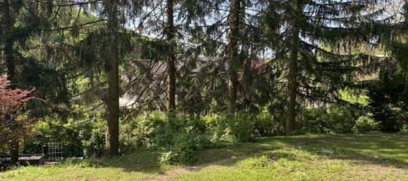 Terrain à Klosterneuburg, Austria 1391m² No. 163948 4