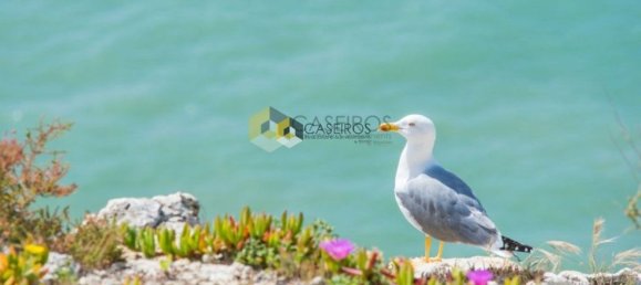  قطعة أرض في Olhao, Portugal 9108متر مربع رقم 108734 16