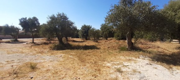 Земельный участок 300м² в Сассари, Италия № 50017 4