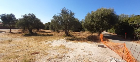 Земельный участок 300м² в Сассари, Италия № 50017 2