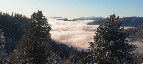 5غرفة منزل في Reichenau, Austria رقم 35324 16