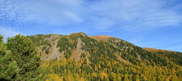 5غرفة منزل في Reichenau, Austria رقم 35324 7