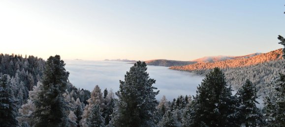 5غرفة منزل في Reichenau, Austria رقم 35324 14