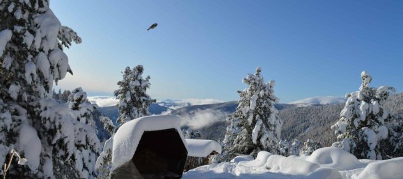 5غرفة منزل في Reichenau, Austria رقم 35324 3