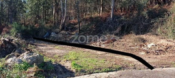 Terrain à Pacos de Ferreira, Portugal 16585m² No. 58780 12