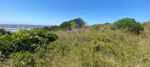 Grundstück in Foz do Arelho, Portugal 4948m², Nr. 127946 8