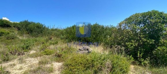 Grundstück in Foz do Arelho, Portugal 4948m², Nr. 127946 11