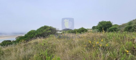 Grundstück in Foz do Arelho, Portugal 4948m², Nr. 127946 15