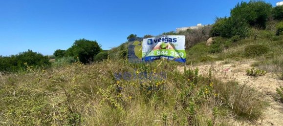 Grundstück in Foz do Arelho, Portugal 4948m², Nr. 127946 12