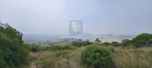 Grundstück in Foz do Arelho, Portugal 4948m², Nr. 127946 21