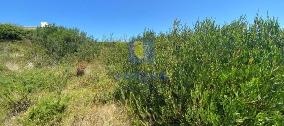 Grundstück in Foz do Arelho, Portugal 4948m², Nr. 127946 14