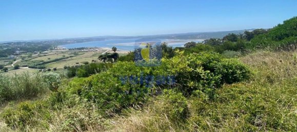 Grundstück in Foz do Arelho, Portugal 4948m², Nr. 127946 9