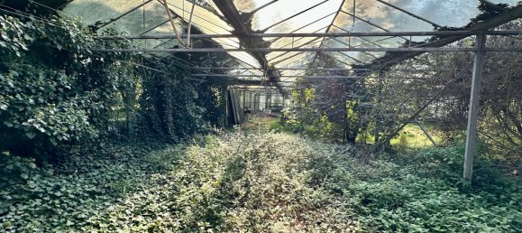 Propiedad comercial de 5 dormitorios en Kleve, Germany No. 190395 14