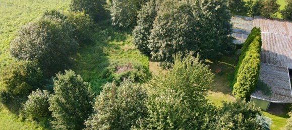 Propiedad comercial de 5 dormitorios en Kleve, Germany No. 190395 17