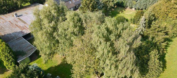 Propiedad comercial de 5 dormitorios en Kleve, Germany No. 190395 18