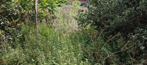 1081m² Land in Palermo, Italy No. 255808 2