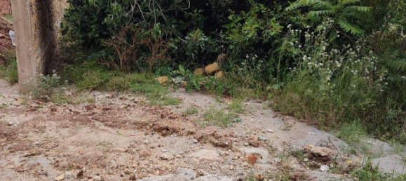 1081m² Land in Palermo, Italy No. 255808 4