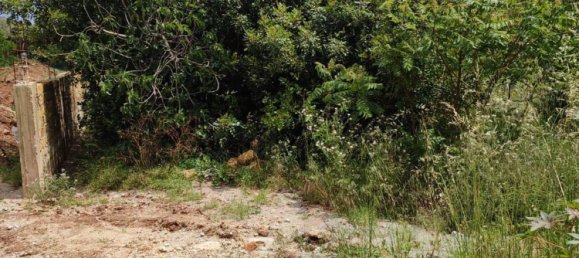 1081m² Land in Palermo, Italy No. 255808 6