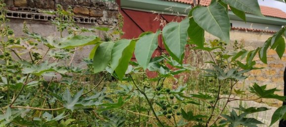 1081m² Land in Palermo, Italy No. 255808 7