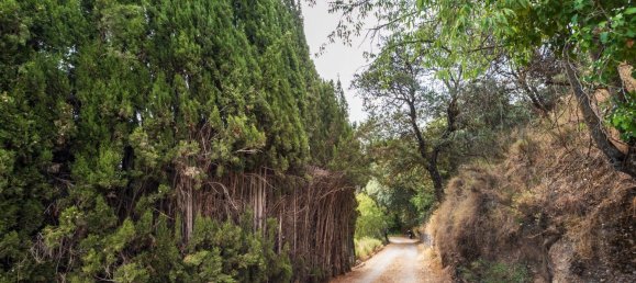 8 Schlafzimmer Haus in Granada, Spain, Nr. 153386 45