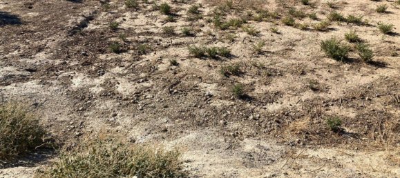 Grundstück in Granada, Spain 700m², Nr. 177531 6