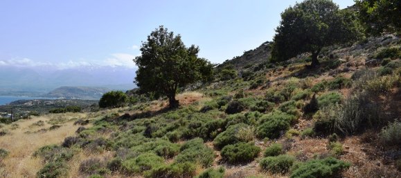 Hotel in Chania, Greece 6950m², Nr. 4844 10