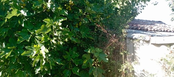  قطعة أرض في San Damiano al Colle, Italy 25200متر مربع رقم 285803 3