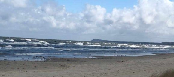 1 bedroom Apartment in Vorpommern-Greifswald, Germany No. 281425 11