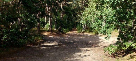 1 bedroom Apartment in Vorpommern-Greifswald, Germany No. 281425 10