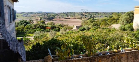 4 bedrooms Villa in Santa Margalida, Spain No. 14181 3