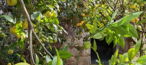 4 bedrooms Villa in Santa Margalida, Spain No. 14181 4