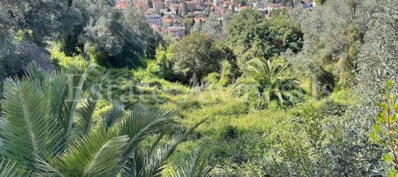 6000m² Land in Bordighera, Italy No. 152261 12