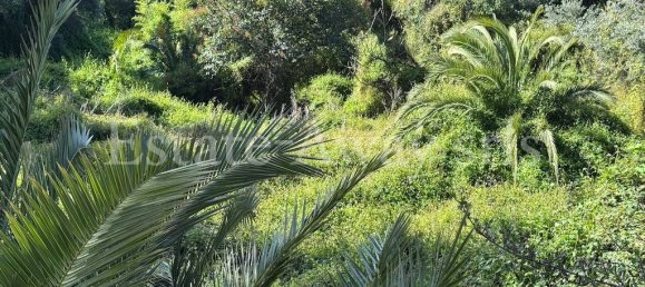 6000m² Land in Bordighera, Italy No. 152261 4