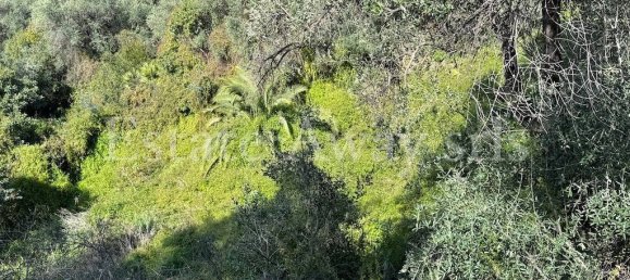 6000m² Land in Bordighera, Italy No. 152261 9