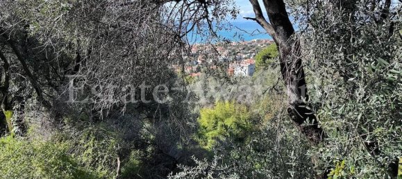 6000m² Land in Bordighera, Italy No. 152261 7