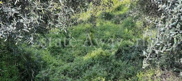 6000m² Land in Bordighera, Italy No. 152261 6