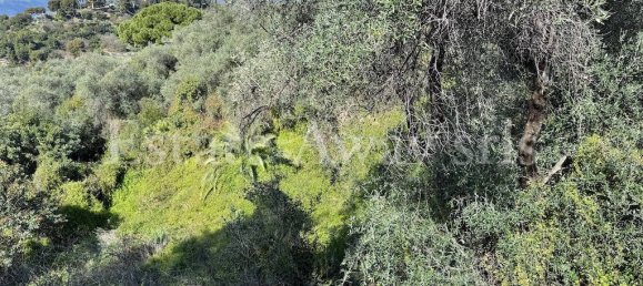 6000m² Land in Bordighera, Italy No. 152261 8