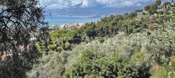 6000m² Land in Bordighera, Italy No. 152261 11