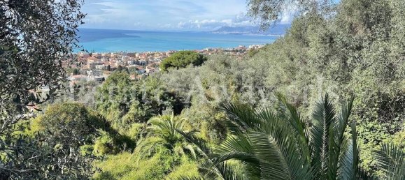 6000m² Land in Bordighera, Italy No. 152261 3