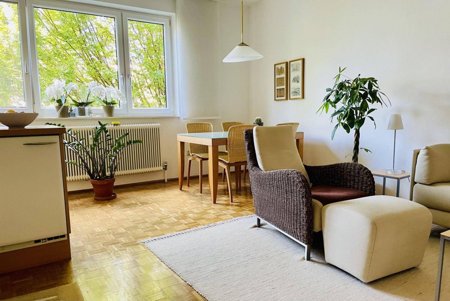 Studio in Salzburg, Austria, Nr. 238453