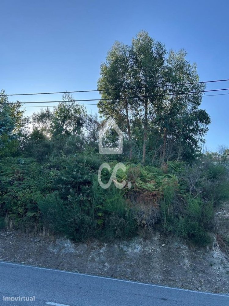 6900m² Land in Pacos de Ferreira, Portugal No. 302391