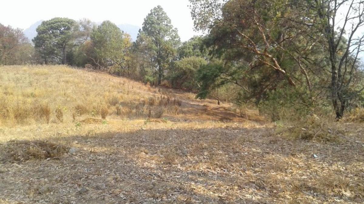  Land in Heroica Matamoros, Mexico No. 205984