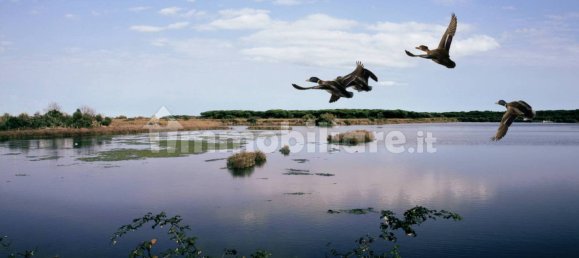 2 chambres Villa à Comacchio, Italy No. 121311 30