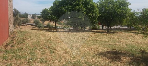 4 غرف نوم منزل في Serta, Portugal رقم 32003 10