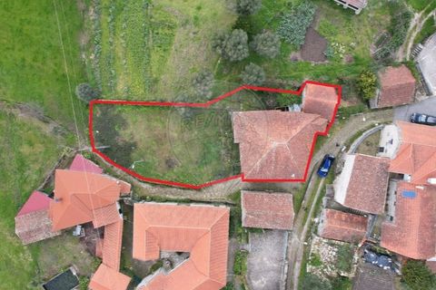 4 غرف نوم فيلا في Abadim, Portugal رقم 190065