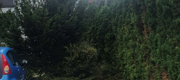 1 غرف نوم شقة في Tubingen, Germany رقم 45007 3