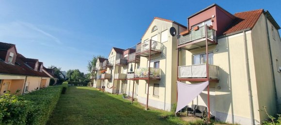 1 bedroom Apartment in Dahme-Spreewald, Germany No. 61466 2