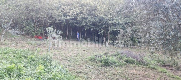 Terreno em Ferentino, Italy 2105 m² N.º 312208 2