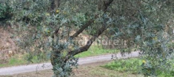 Terreno em Ferentino, Italy 2105 m² N.º 312208 5