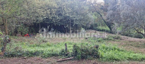 Terreno em Ferentino, Italy 2105 m² N.º 312208 4